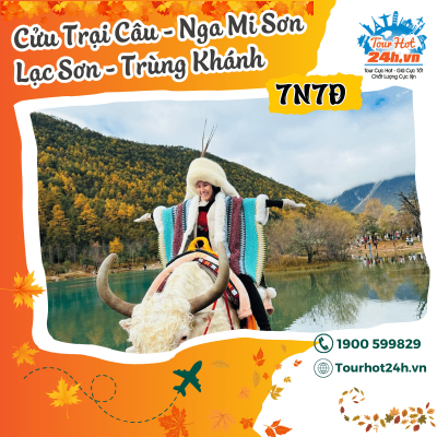 tour-cuu-trai-cau-nga-mi-lac-son-7n7d