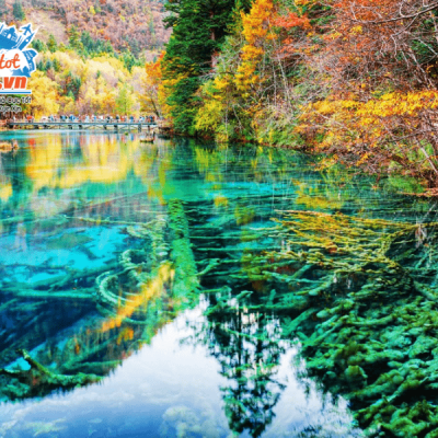 cuu-trai-cau-tour-thanh-do