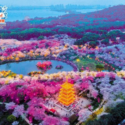 cong-vien-dong-ho_3_11zon