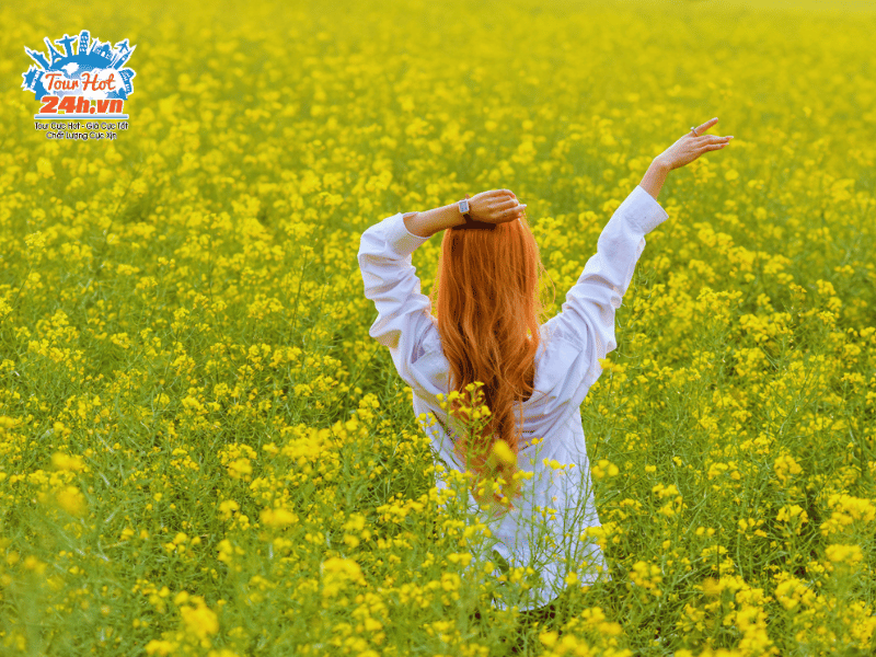 mua-hoa-tan-cuong-hoa-cai-dau