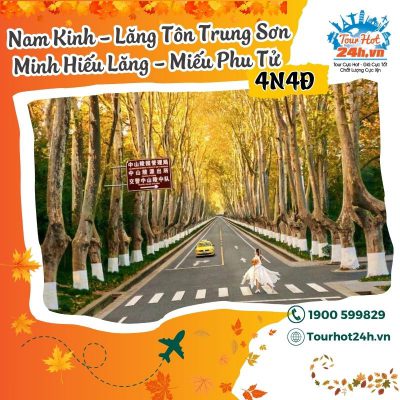 tour-nam-kinh-lang-ton-trung-son-4n4d