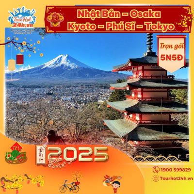 tour-tet-2025-nhat-ban-osaka-kyoto-phu-si-tokyo-5n5d