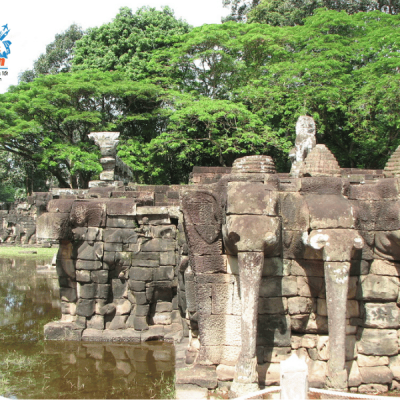 quang-truong-dau-voi