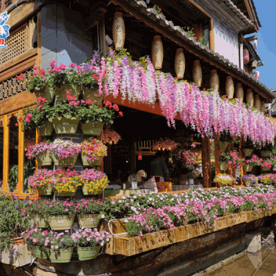 pho-co-le-giang