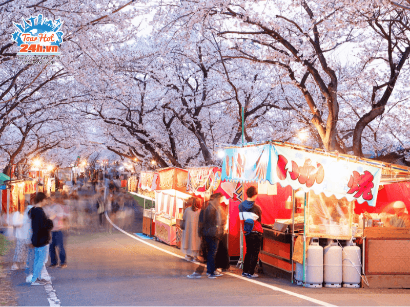 Hanami-le-hoi-mua-xuan-chau-a