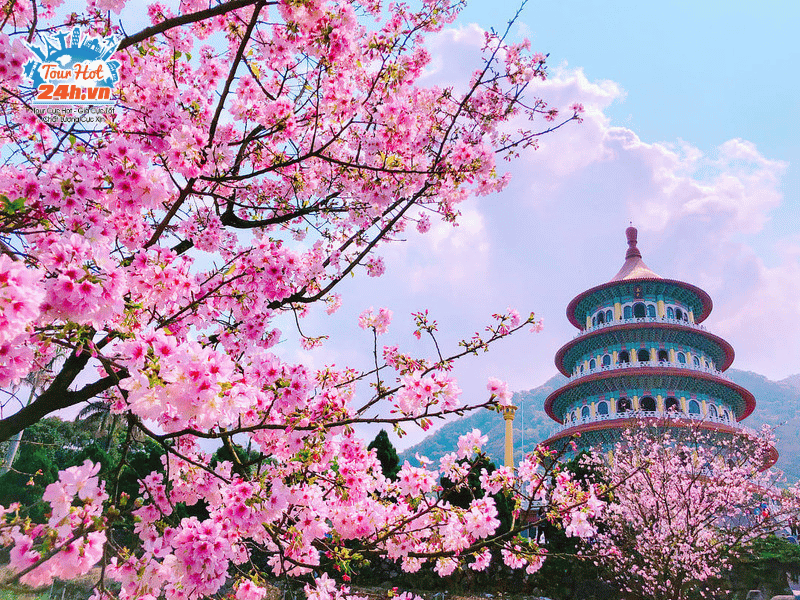 kinh-nghiem-du-lich-mua-xuan-dai-loan