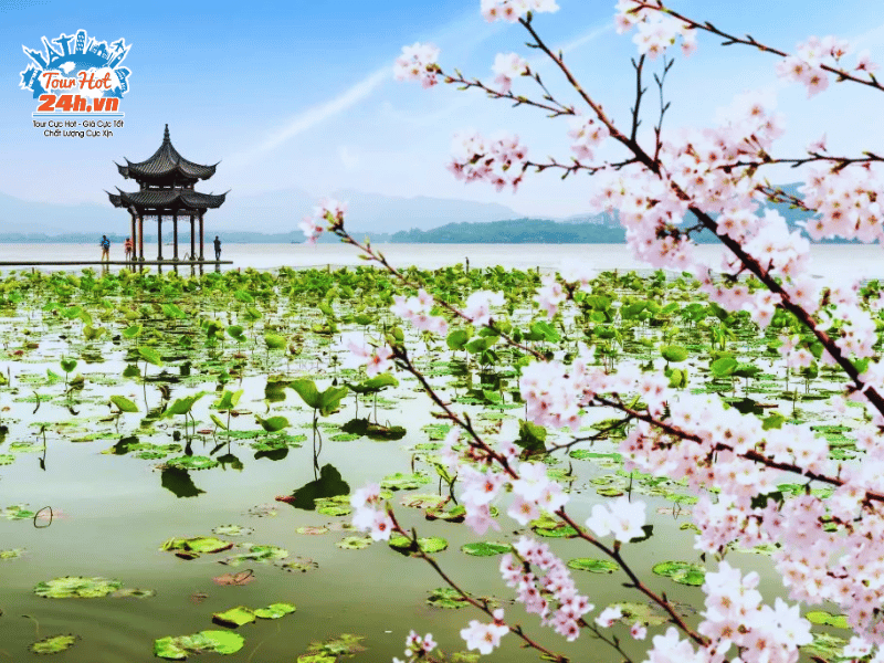 mua-xuan-hang-chau-tay-ho