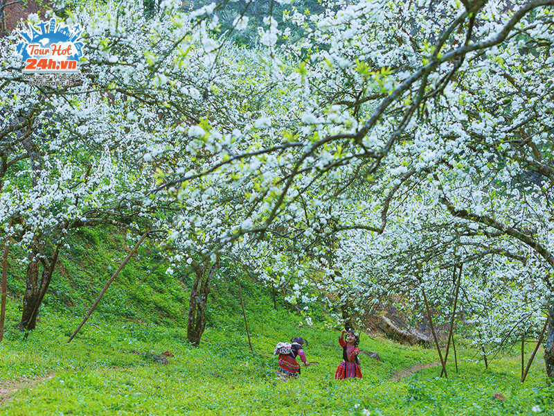 mua-xuan-tour-du-lich-mua-xuan