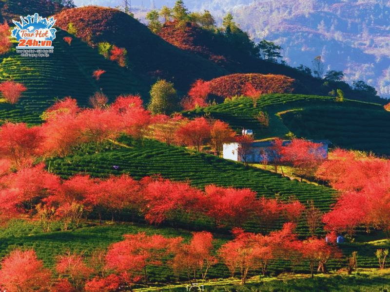 thoi-tiet-du-lich-mua-xuan