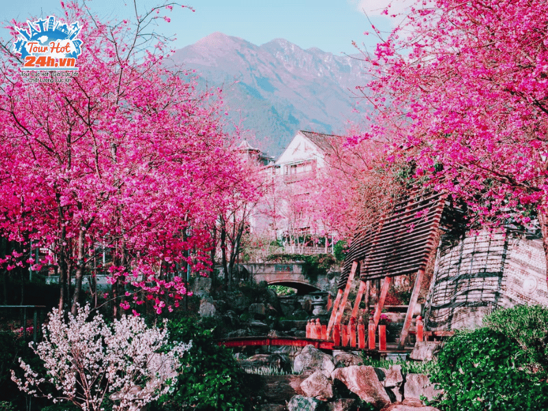 tour-du-lich-mua-xuan