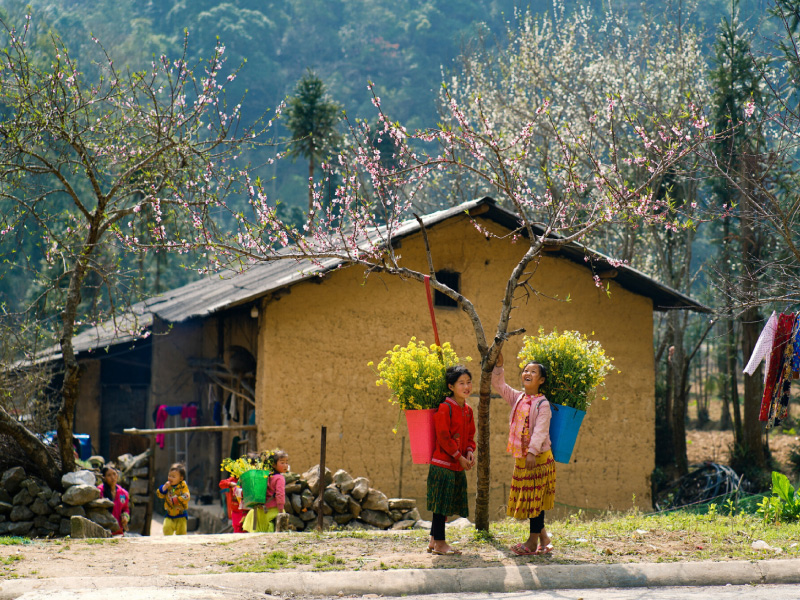 nhung-bong-hoa-cua-da-1