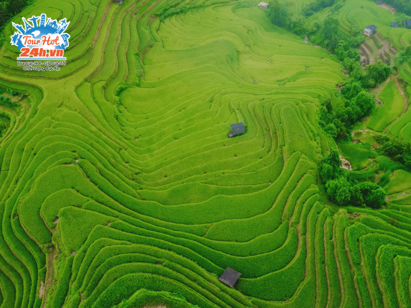 ruong-bac-thang-hoang-su-phi-ha-giang