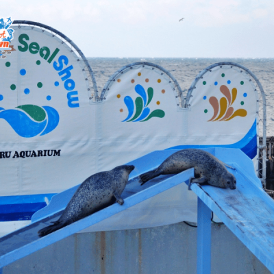 thuy-cung-Otaru-Aquarium