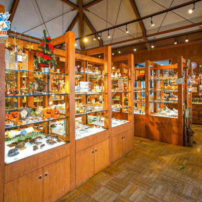 xuong-thuy-tinh-Glass-Forest