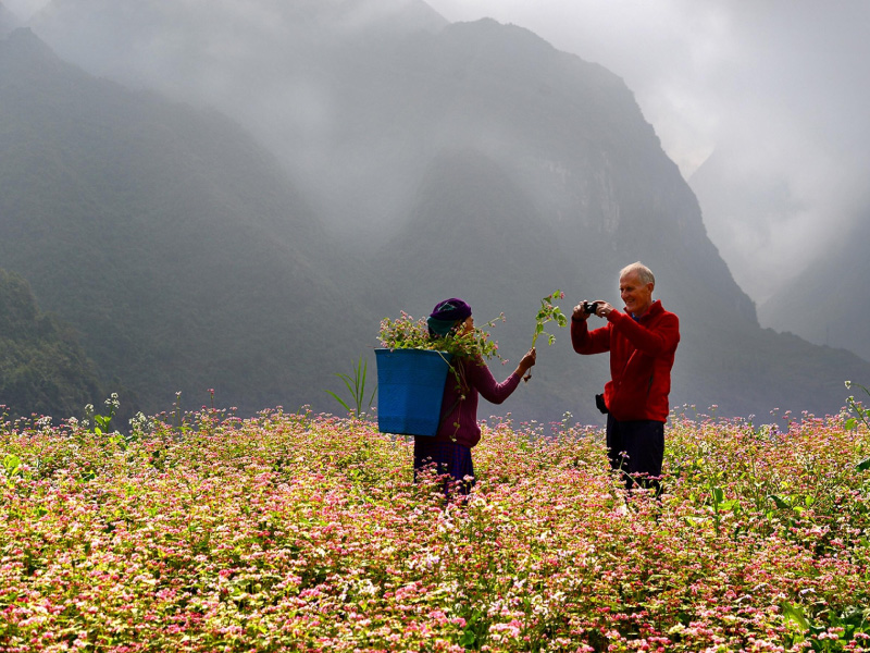 hoa-tam-giac-mach-trai-nghiem-ha-giang