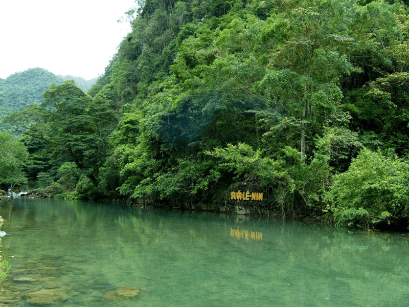 suoi-le-nin-2-1