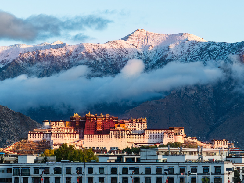 tay-tang-huyen-bi-noc-nha-the-gioi