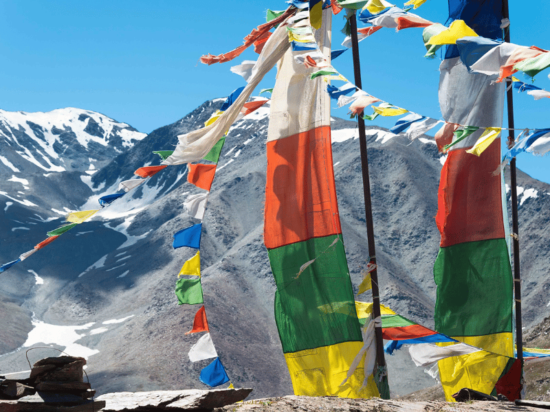 co-cau-nguyen-o-tay-tang