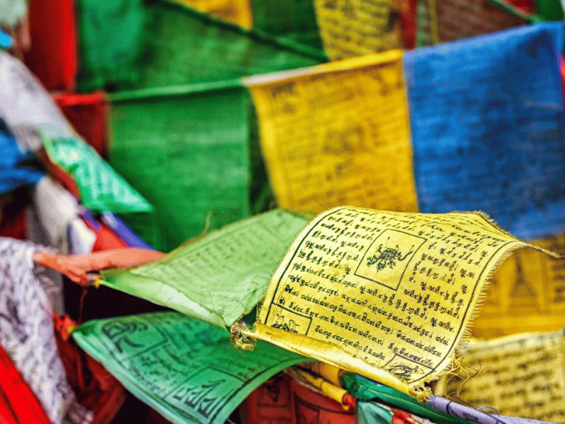 co-cau-nguyen-tay-tang-2