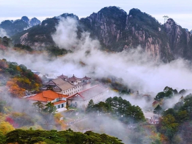 hoang-son-boi-canh-phim-hoa-moc-lan