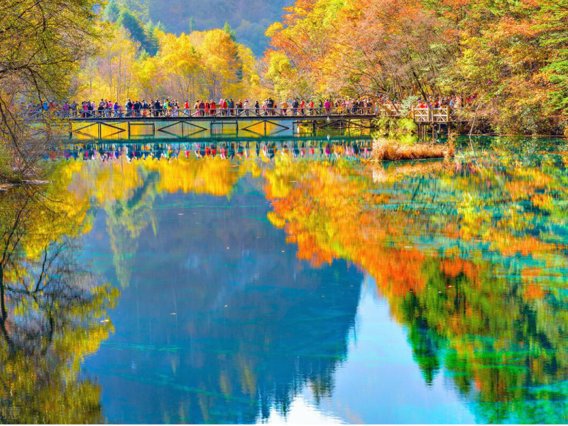 cuu-trai-cau-diem-ngam-la-vang-la-do-dep-nhat-trung-quoc