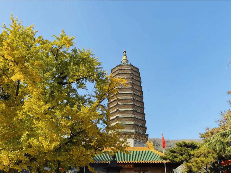 dia-diem-ngam-la-vang-bac-kinh