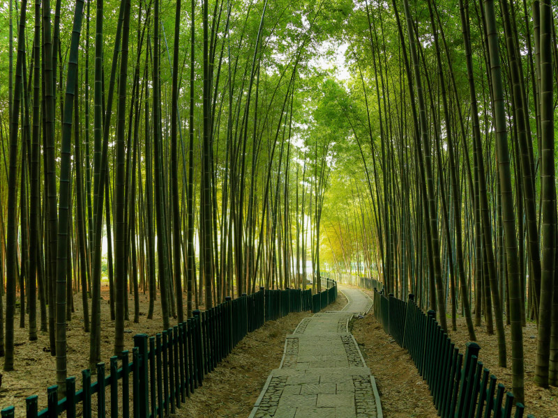 hang-chau-trong-tieu-thuyet-kim-dung