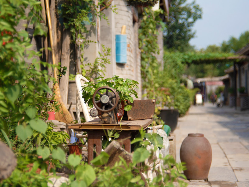 vi-sao-nen-trai-nghiem-hutong