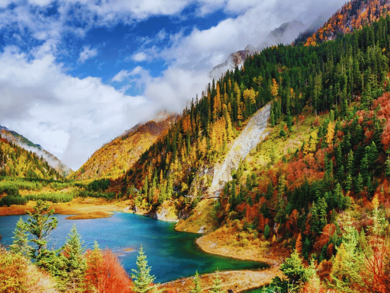 luu-y-di-cuu-trai-cau-mua-cao-diem-5