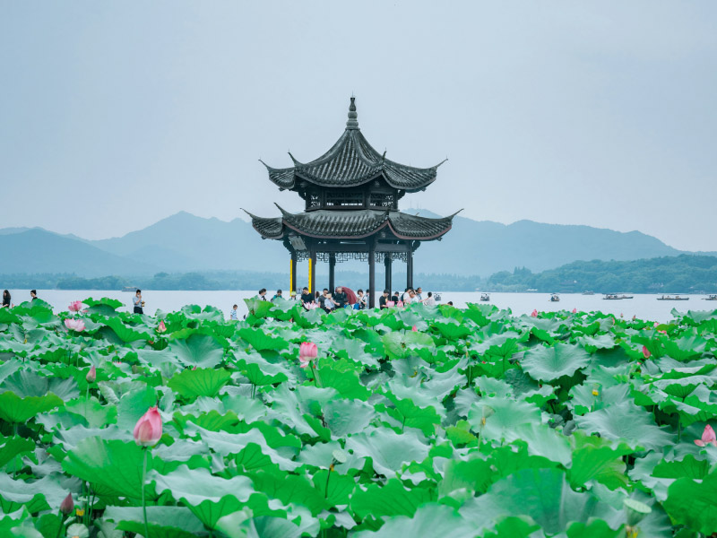 tay-ho-hang-chau