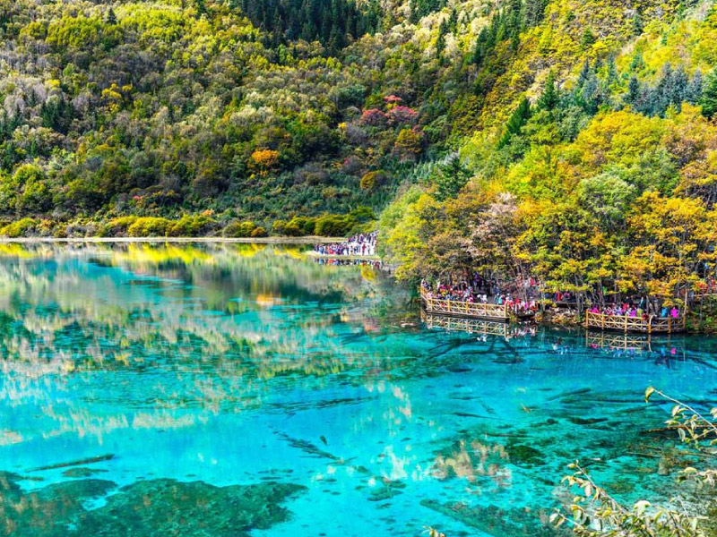 truyen-thuyet-ve-cuu-trai-cau