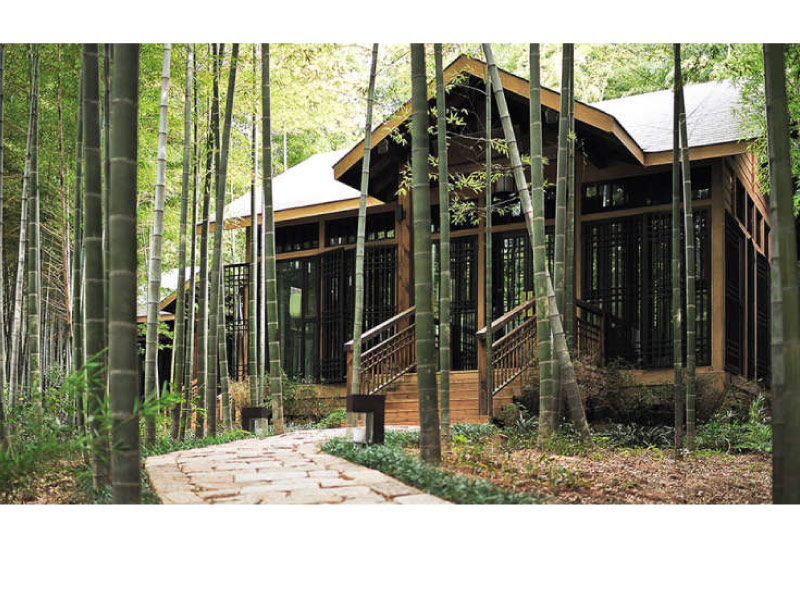 Rucuixuan-Tea-Garden