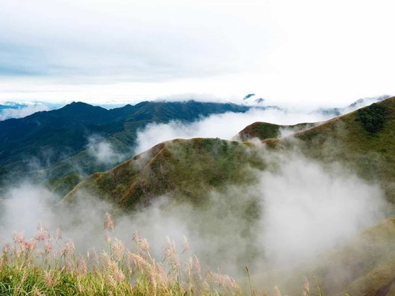 binh-lieu-diem-san-may-mien-bac