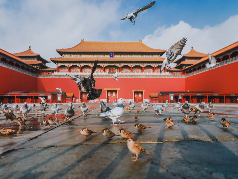 buc-tuong-do-the-hien-quyen-luc