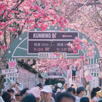 cong-vien-vien-thong-son