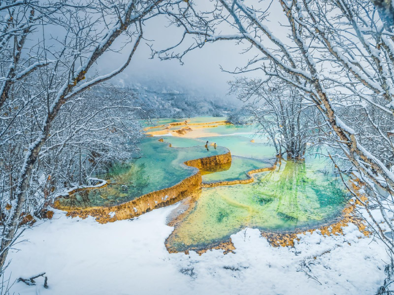 cuu-trai-cau-mua-dong