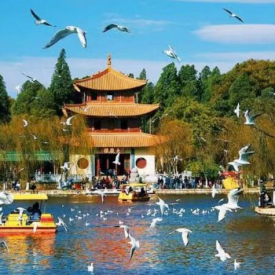 dai-quan-lau-tour-con-minh