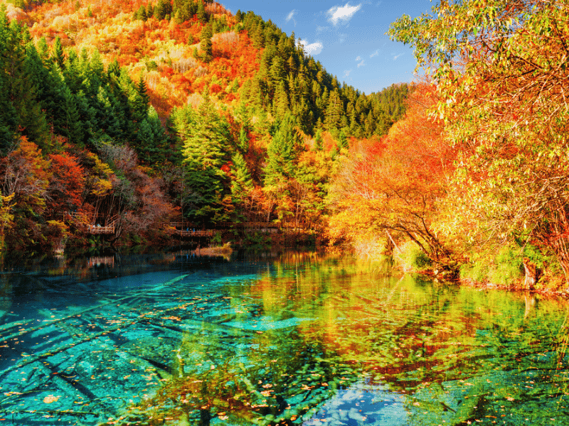 du-lich-cuu-trai-cau-2