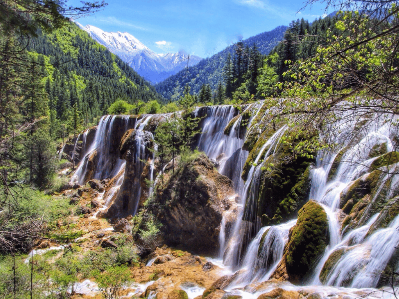 du-lich-cuu-trai-cau-4