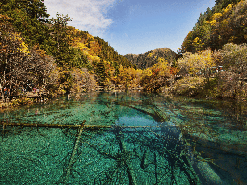 du-lich-cuu-trai-cau