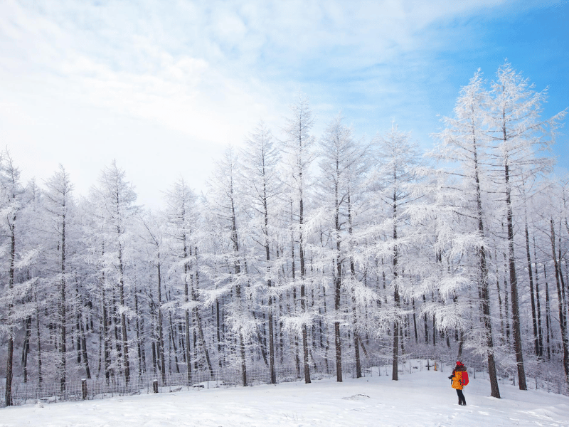 du-lich-mua-dong-han-quoc-1