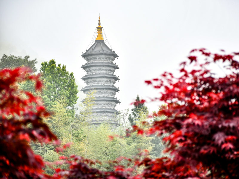 hang-chau-kinh-do-nha-nam-tong