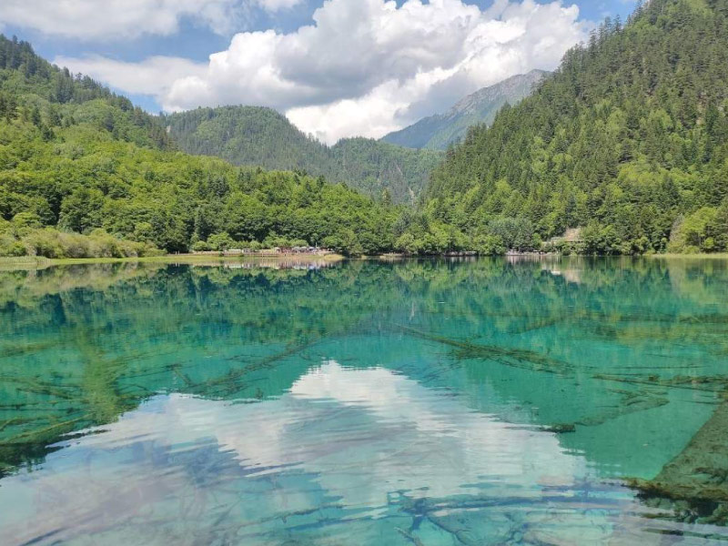 he-thong-mau-nuoc-cuu-trai-cau