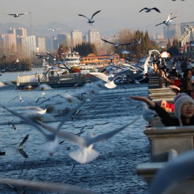 ho-dien-tri-tour-du-lich-con-minh