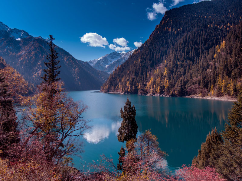 khi-hau-cuu-trai-cau-on-hoa