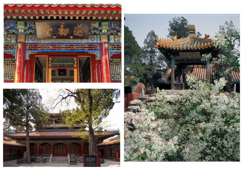 khong-gian-vuon-cung-ninh-tho