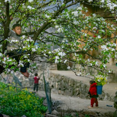 lang-lo-lo-chai-ha-giang