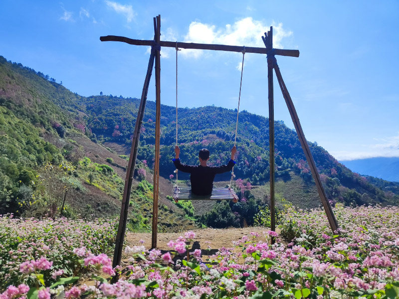 mua-cang-chai-diem-den-tay-bac-cuoi-nam