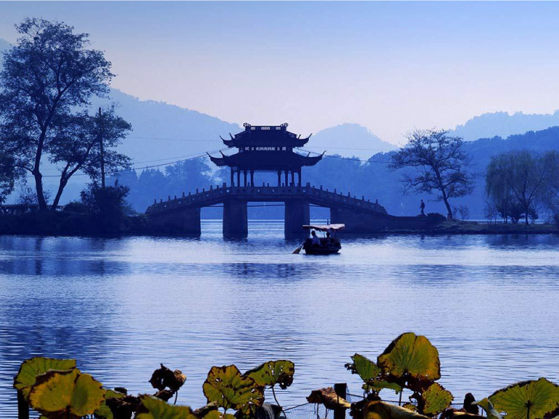 nhung-cay-cau-vo-danh-o-tay-ho