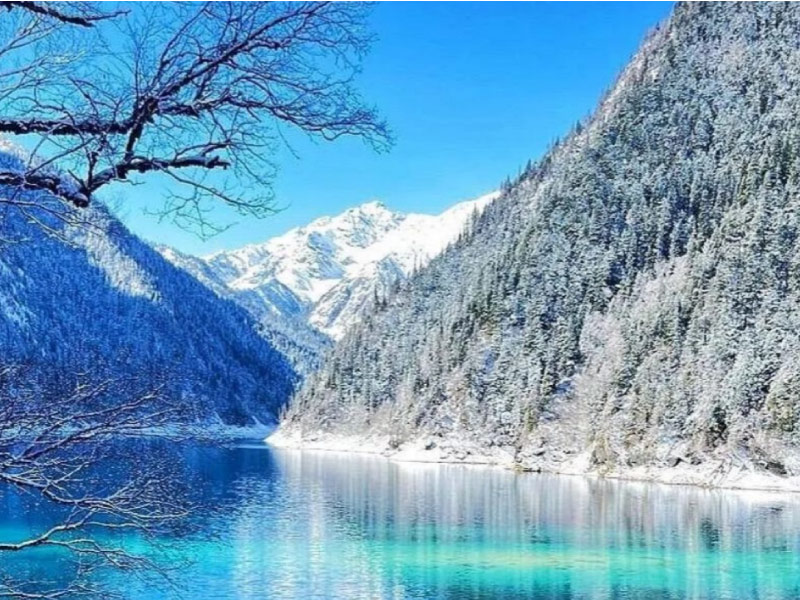 nui-tuyet-rung-thong-cuu-trai-cau